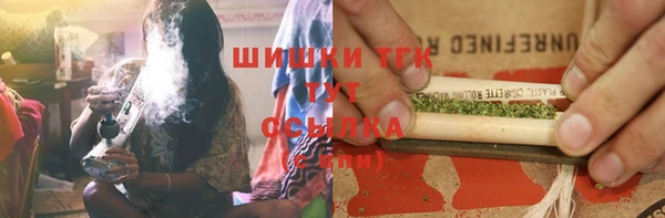 индика Приозерск