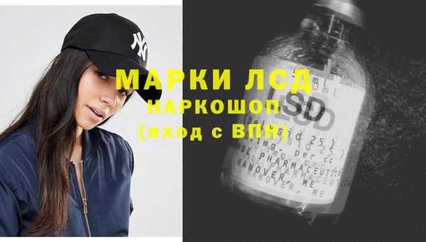 индика Приозерск