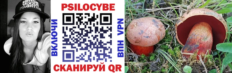 Псилоцибиновые грибы Cubensis  Алейск 
