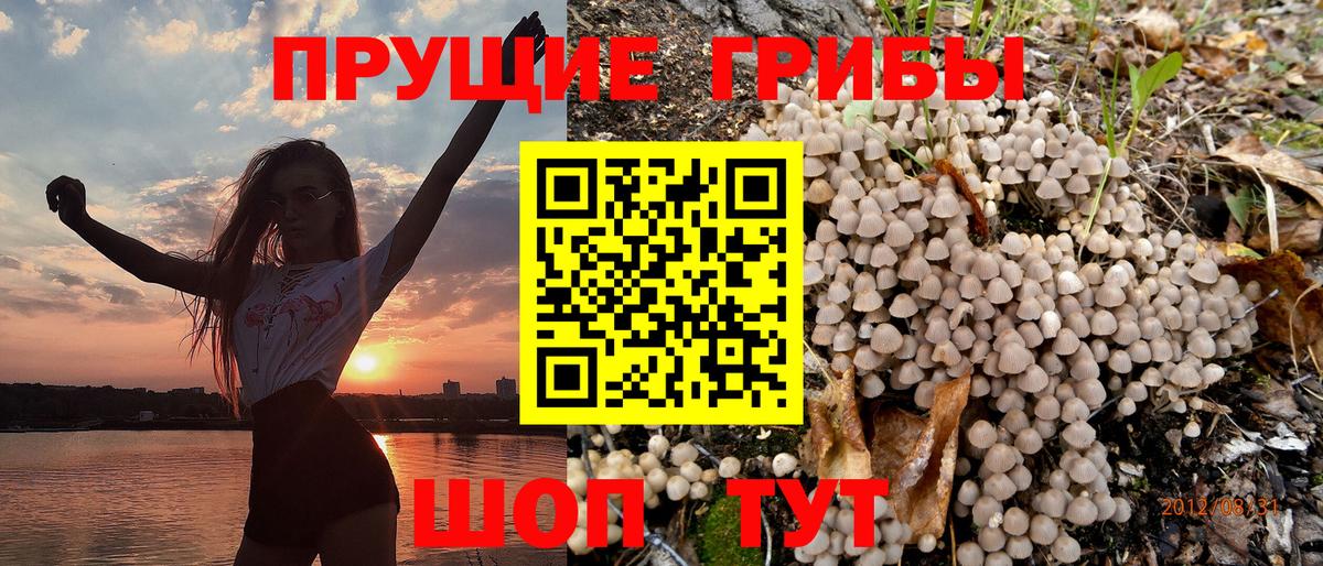 Псилоцибиновые грибы MAGIC MUSHROOMS  Галлюциногенные грибы прущие грибы  Алейск  где купить   Вход с VPN 