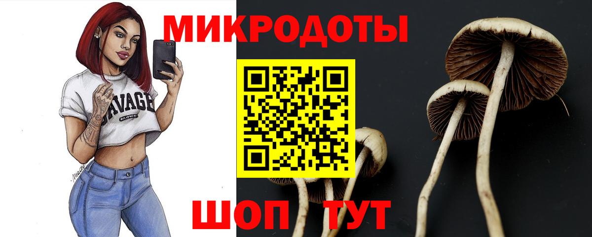 Псилоцибиновые грибы мицелий Алейск