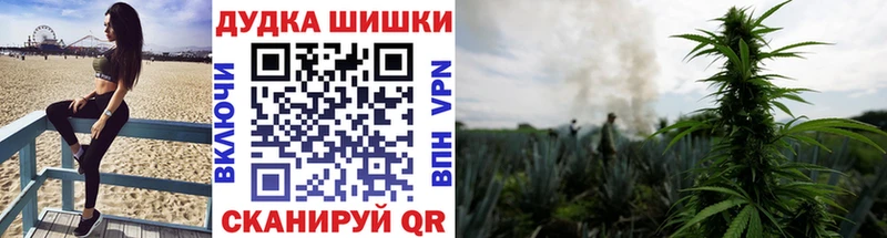 MEGA зеркало  Алейск  площадка телеграм  Бошки Шишки тримм 